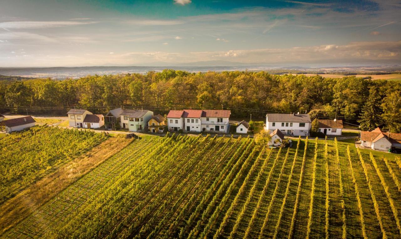 Ferienhaus Szapary II Eisenberg an der Pinka Eksteriør bilde